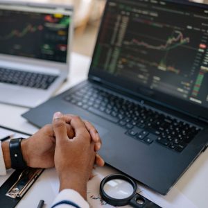 Consulting WordPress